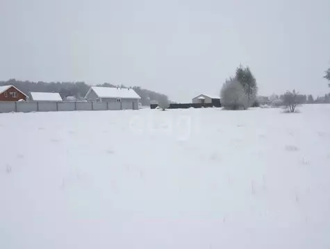 Участок в Тульская область, Тула городской округ, д. Коптево 7Д (7.0 ...