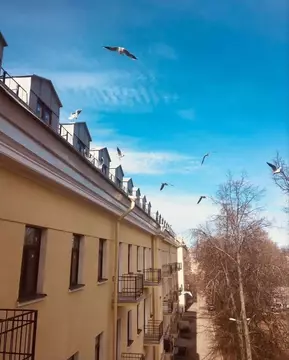 2-к кв. Санкт-Петербург, Санкт-Петербург, Кронштадт ул. Аммермана, 46 ...