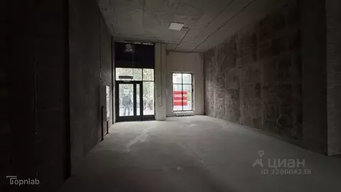 Помещение свободного назначения в Санкт-Петербург Светлановский ...