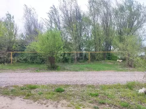 Участок в Воронежская область, Поворинский район, с. Пески  (30.0 ...