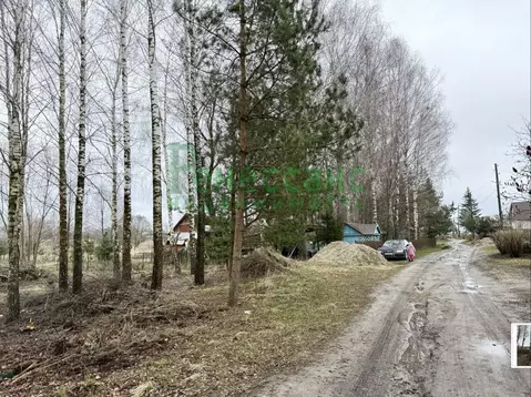 Участок в Брянская область, Выгоничский район, Кокинское с/пос, с. ...