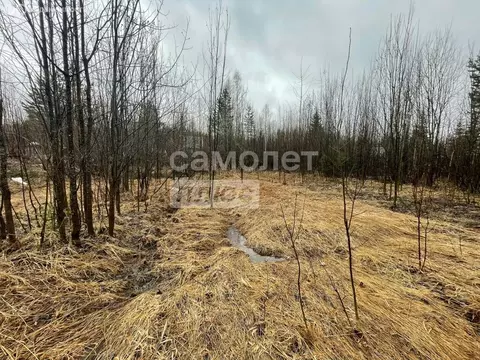 Участок в Республика Коми, муниципальный район Сыктывдинский, ...