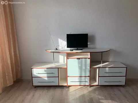 Квартира-студия: Барнаул, Балтийская улица, 101 (27.2 м)