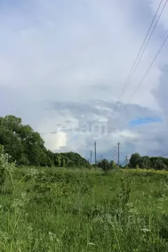 Участок в Калужская область, Юхновский район, Щелканово с/пос, с. ...