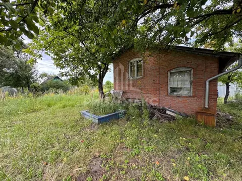Дом в Брянская область, Брянск Природа садовое общество,  (32 м)