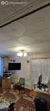 1-комнатная квартира: Златоуст, Дворцовая улица, 24А (29.7 м)