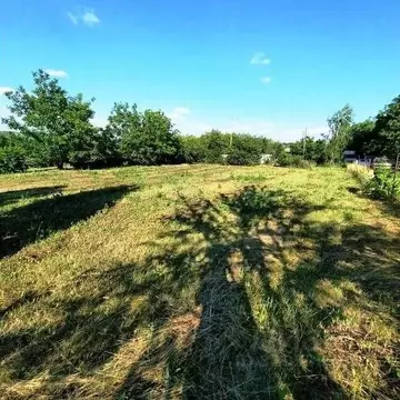 Участок в Белгородская область, Яковлевский муниципальный округ, с. ...