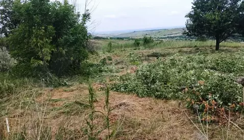 Участок в Ставропольский край, Ставрополь Селекционер садовое ...