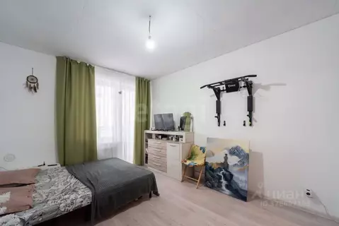 Студия Калининградская область, Калининград Батальная ул., 98 (22.3 м)