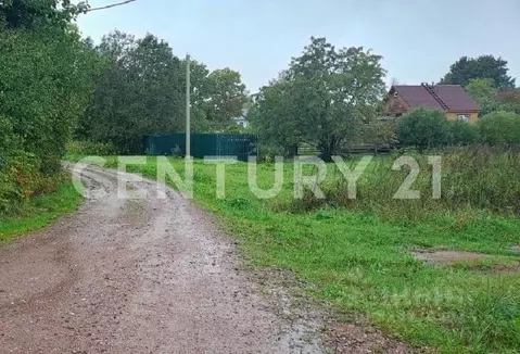 Участок в Ленинградская область, Кингисеппский район, Котельское ...