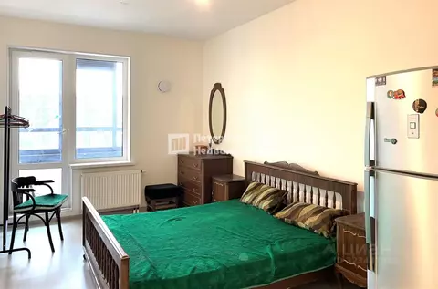 Студия Санкт-Петербург просп. Буденного, 23к1 (24.3 м)