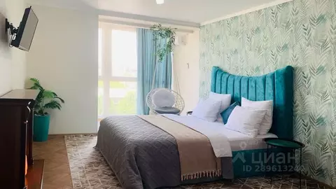 1-к кв. Карачаево-Черкесия, Черкесск Октябрьская ул., 303 (50.0 м)