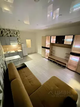 Студия Санкт-Петербург пос. Парголово, Заречная ул., 17 (27.4 м)