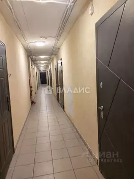 Студия Ленинградская область, Мурино Всеволожский район, ул. Шоссе в ...