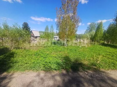 Участок в Томская область, Томский район, Богашевское с/пос, ...