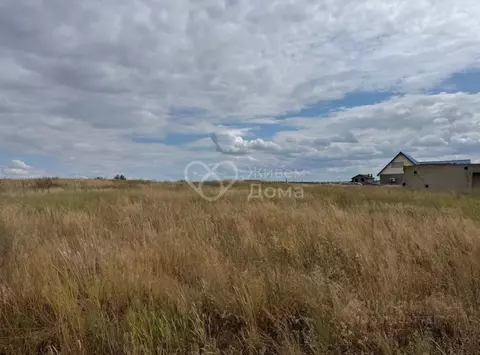 Участок в Волгоградская область, Среднеахтубинский район, ...