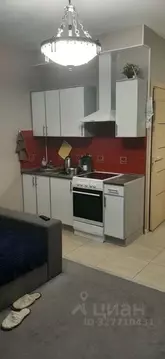 Студия Санкт-Петербург ул. Русановская, 9 (27.3 м)