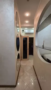 Студия Санкт-Петербург пл. Конституции, 1к2 (36.9 м)