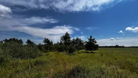 Участок в Амурская область, Свободненский район, с. Москвитино  ...