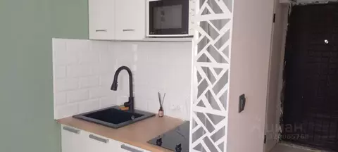 Студия Краснодарский край, Новороссийск ул. Видова, 182 (14.0 м)