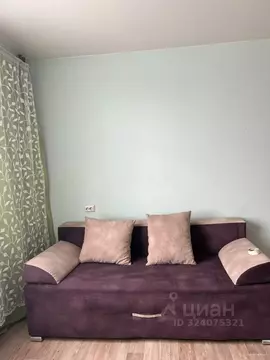 Студия Новосибирская область, Новосибирск Бронная ул., 28 (20.0 м)