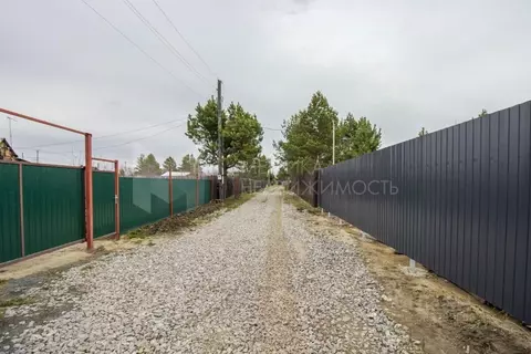 Участок в Тюменская область, Тюменский муниципальный округ, Нива СНТ ...