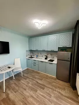 Студия Санкт-Петербург ул. Чарушинская, 26к1 (26.0 м)