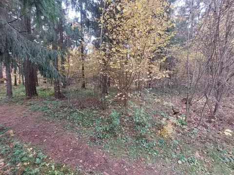 Участок в Московская область, Одинцовский городской округ, д. ...