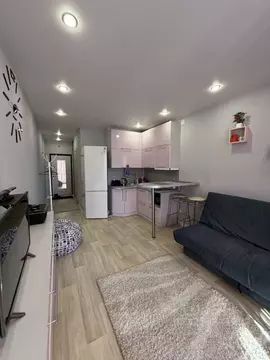 Студия Псковская область, Великие Луки ул. Гоголя, 15 (24.7 м)