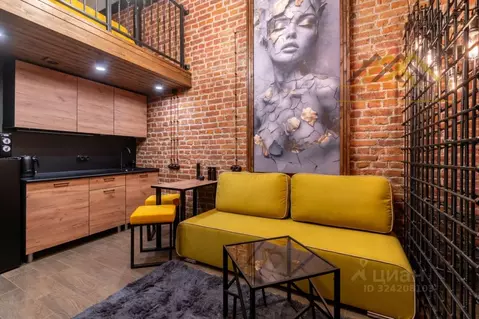 Студия Санкт-Петербург наб. Канала Грибоедова, 160 (30.0 м)