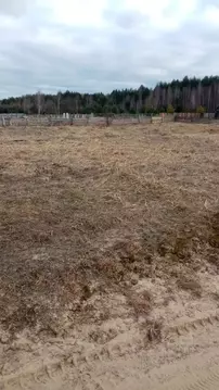 Участок в Мордовия, Краснослободский район, с. Сивинь  (15.0 сот.)