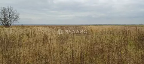 Участок в Марий Эл, Медведевский район, Пекшиксолинское с/пос, д. ...