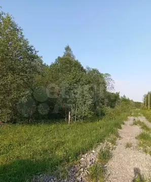 Участок в Вологодская область, Череповецкий район, Ирдоматское с/пос  ...