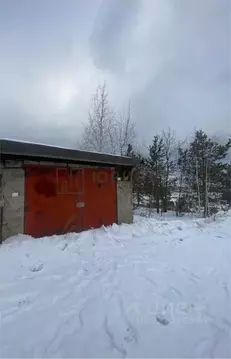 Гараж в Свердловская область, Нижний Тагил Алтайская ул., 192 (29 м)