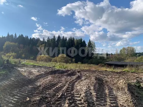 Участок в Томская область, Томский район, с. Корнилово ...