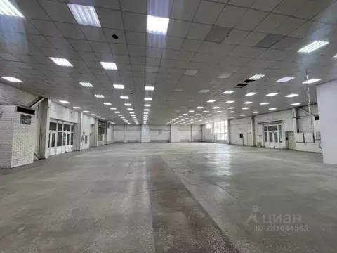 Торговая площадь в Белгородская область, Старый Оскол ул. Свердлова, 4 ...