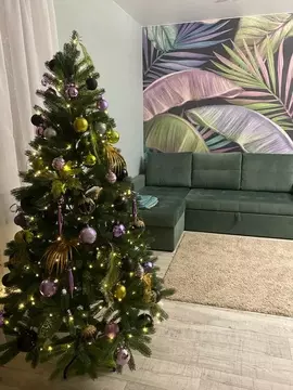 Студия Сахалинская область, Южно-Сахалинск Большая Елань п/р, пер. ...