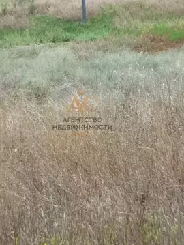 Участок в Крым, Ленинский район, Батальненское с/пос, Нептун СНТ  (8.0 ...