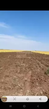 Участок в Крым, Черноморский район, Далековское с/пос, с. Владимировка ...