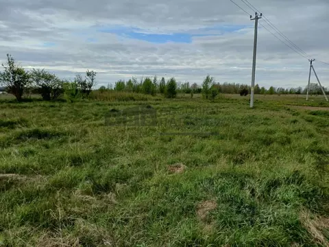 Участок в Новгородская область, Новгородский район, Ракомское с/пос, ...