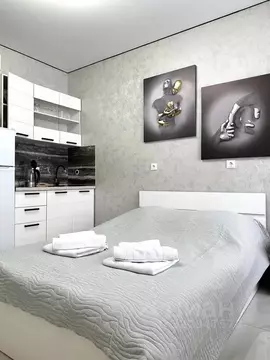 Студия Адыгея, Майкоп ул. К.А. Васильева, 2к2 (20.0 м)