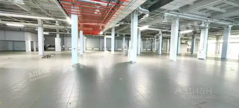 Помещение свободного назначения в Москва Щелковское ш., 100к100 (2000 ...