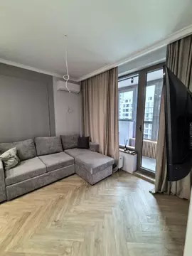 1-к кв. Санкт-Петербург ул. Челюскина, 6 (33.7 м)
