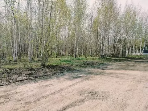 Участок в Новосибирская область, Новосибирский район, Станционный ...