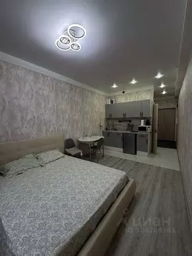 Студия Московская область, Мытищи ул. Колпакова, 44 (25.0 м)