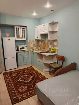 Студия Московская область, Звенигород Одинцовский городской округ, ...