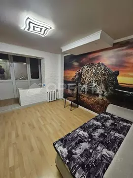 Студия Тюменская область, Тюмень Олимпийская ул., 12 (17.5 м)