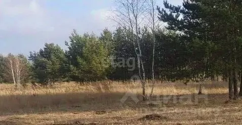 Участок в Воронежская область, Рамонский район, Новоживотинновское ...