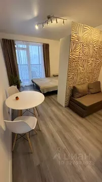 Студия Санкт-Петербург Парашютная ул., 77к1 (24.9 м)