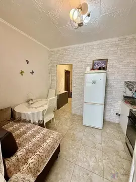 1-к кв. Московская область, Домодедово Южный мкр, ул. Курыжова, 17к1 ...